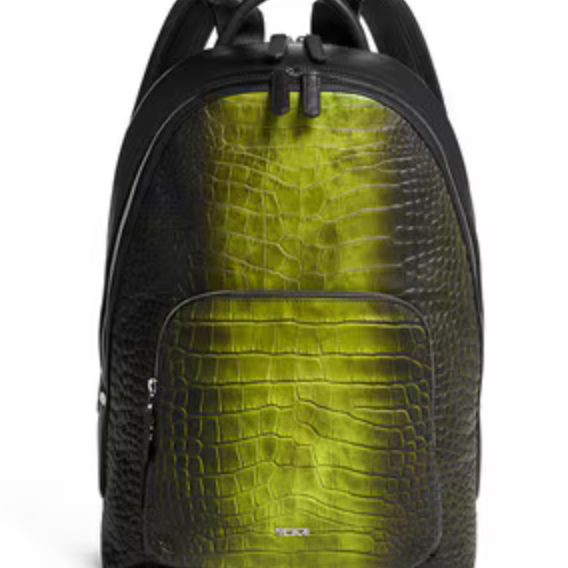 Tumi Turin Matteo Backpack