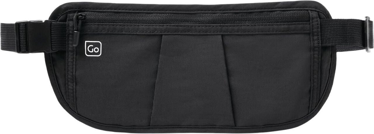Go Travel Concealed Money Minder